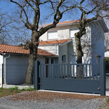 Maison Les Fougeres 安德诺莱斯贝恩 外观 照片